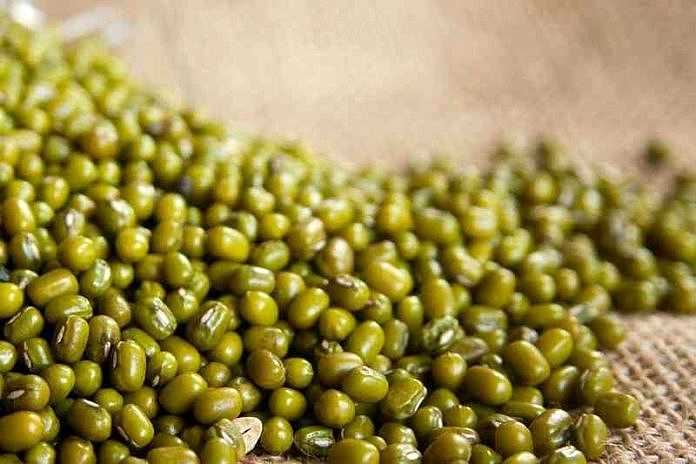 Kacang Hijau MPASI