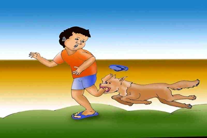 Bertambah Korban Gigitan Anjing Di Klungkung Balipost Com