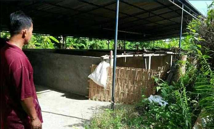 Mangkrak, Pengolahan Pupuk Organik di Kalianget Senilai Rp 1 Miliar 1