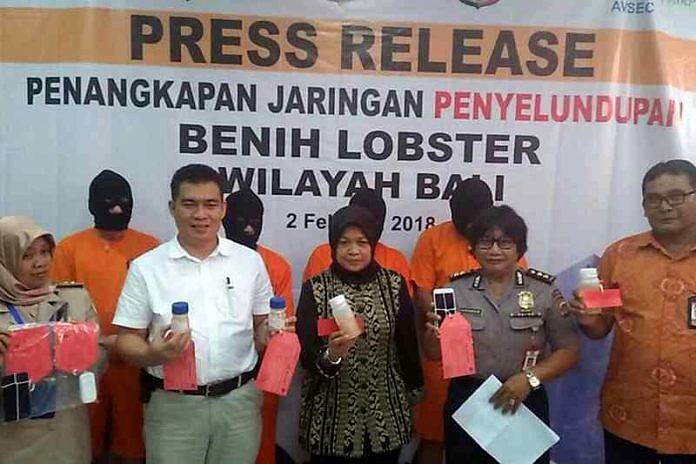Bisnis Ilegal Benih Lobster Menggiurkan 1