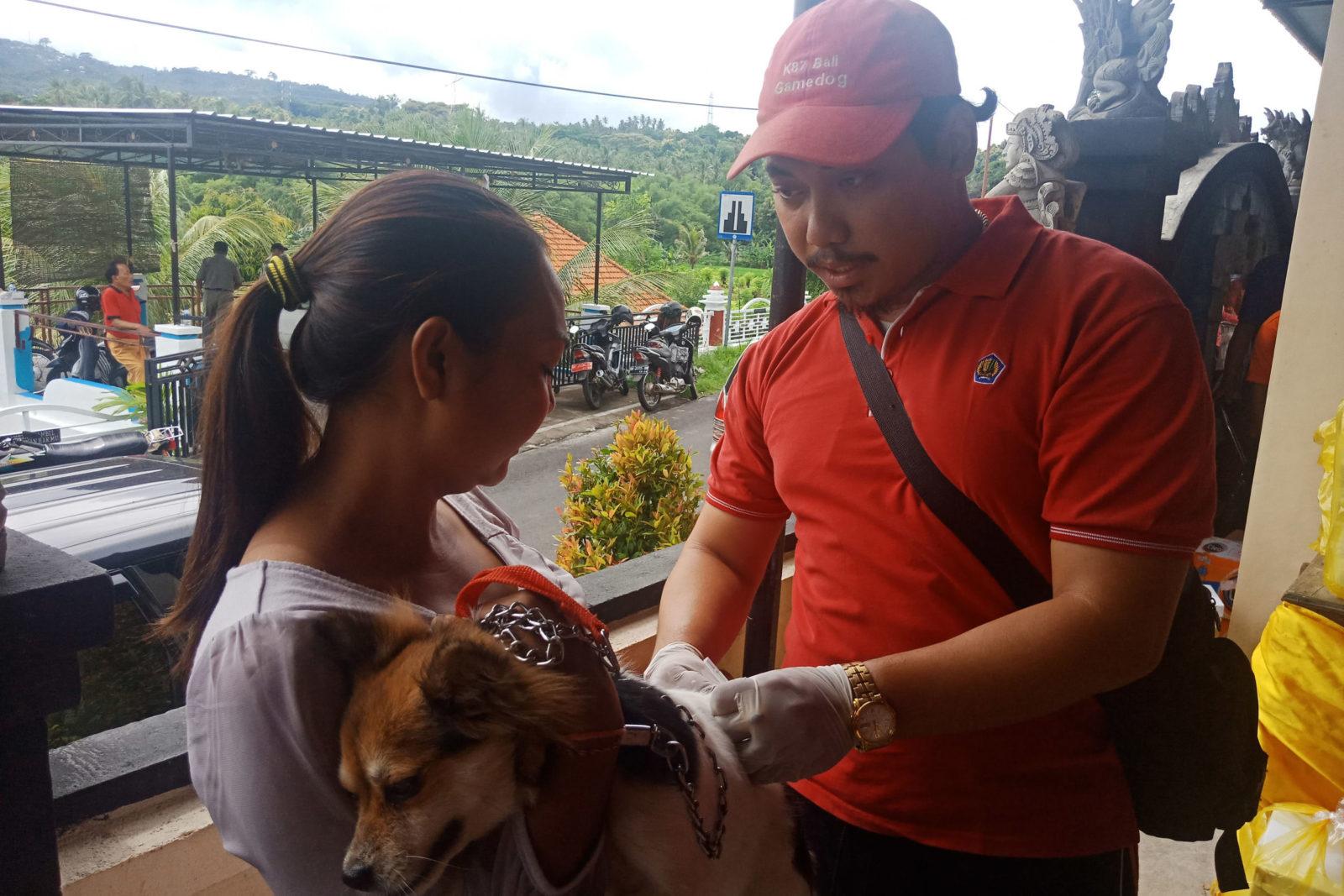 Distan Buleleng Akhiri Vaksinasi Anjing Rabies Masal Balipost Com