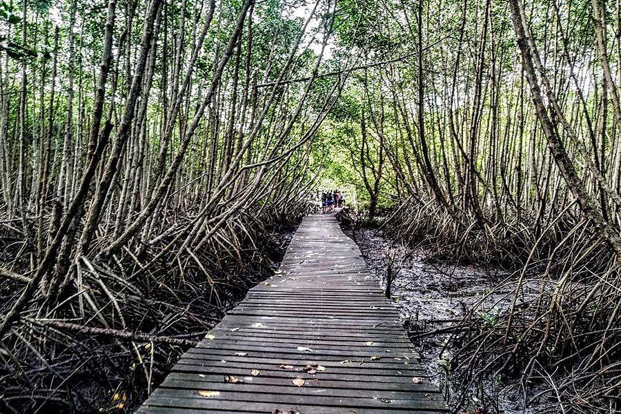 Wisata Tahura Ngurah Rai, Minim Sarana Penunjang hingga Serbuan Sampah