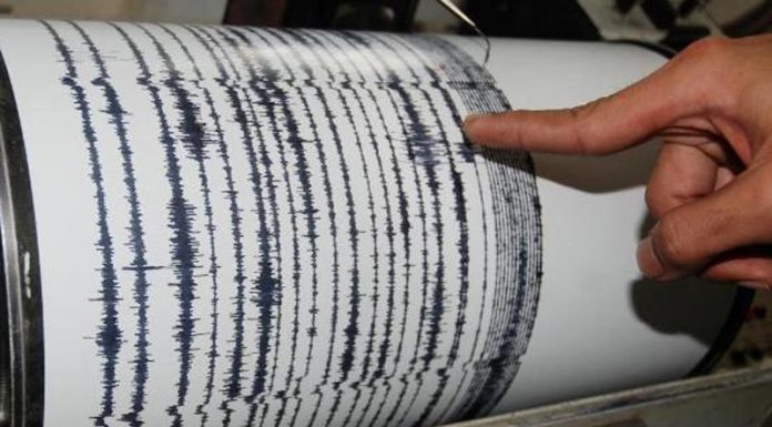 Empat Hari Terakhir, Selat Lombok Diguncang Gempa Sebanyak 212 Kali Gempa Bali