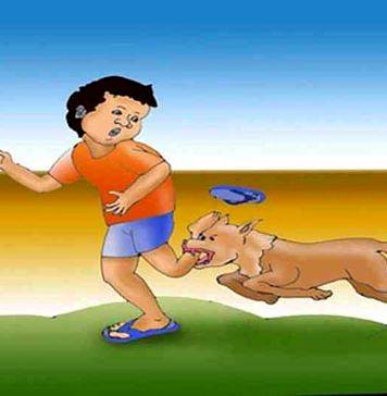 Bali Belum Bebas Rabies