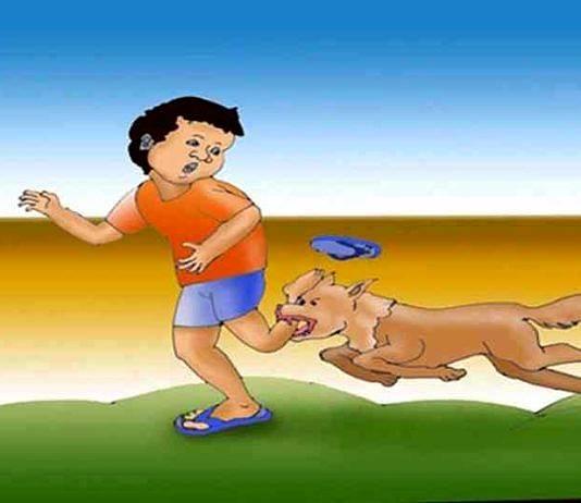 Tujuh Orang Digigit Anjing di Cemagi, Dua Korban WNA Bali Belum Bebas Rabies