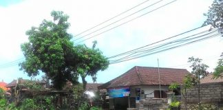 perindang