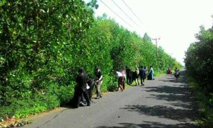 Bali Harus Dikelola dengan Konsep