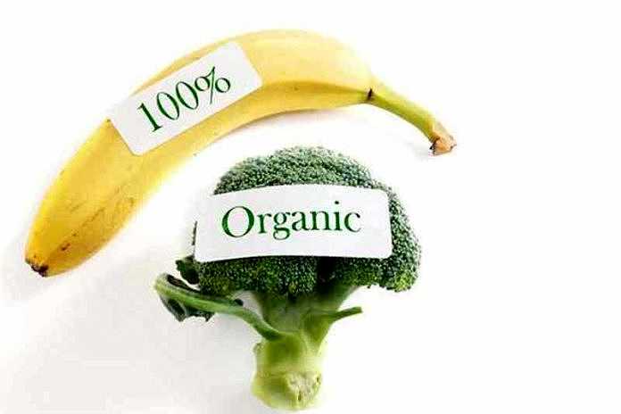 Makanan Organik