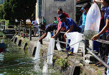 Pulihkan Populasi, Ratusan Ribu Benih Ikan Ditebar di Danau Batur danau