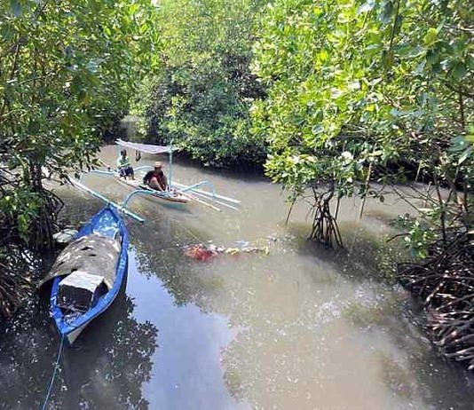 5 Berita Koran Bali Post Terbit Hari Ini, Sabtu 31 Januari 2026 Tahura ngurah rai