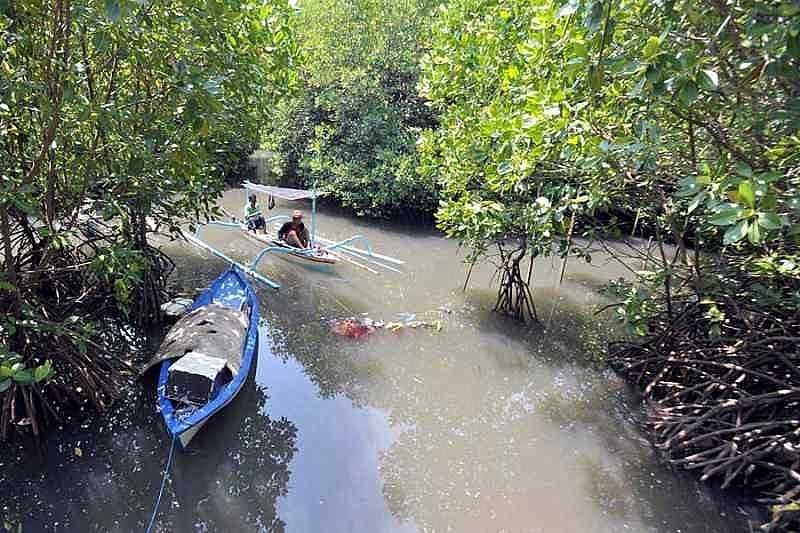 5 Berita Koran Bali Post Terbit Hari Ini, Sabtu 31 Januari 2026 Tahura ngurah rai