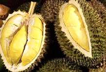 Durian. (BP/dok)