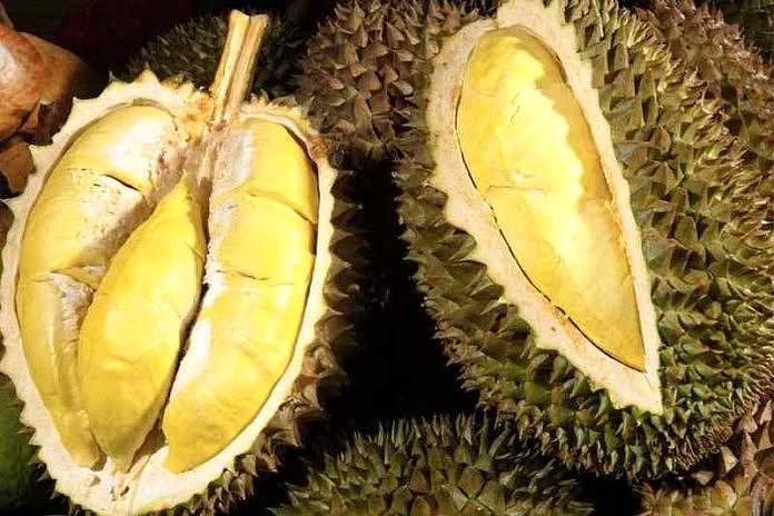 Durian. (BP/dok)