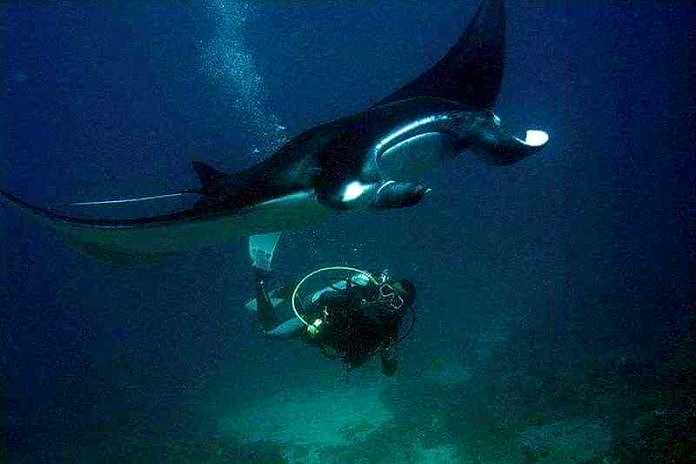 Wisata Bahari Nusa Penida Minim Tenaga Lokal 1 wisata