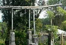 Dibiarkan Tak Terurus, Pergola di Pintu Masuk Penelokan Disorot