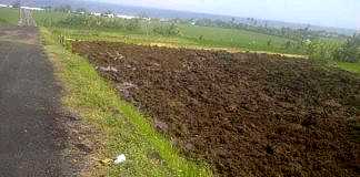 lahan