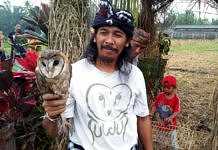 burung