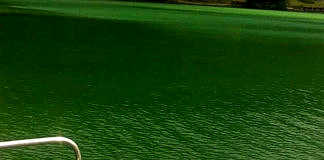 danau