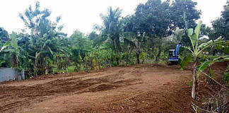 lahan