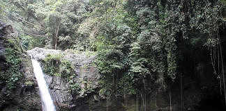 jambangan