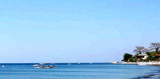 Amed
