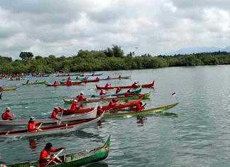 Balap Sampan Tradisional Menyusuri Mangrove Sampan