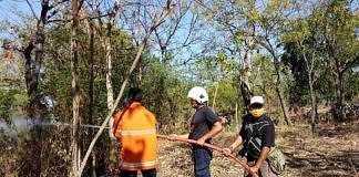hutan