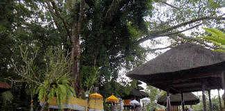 Pura