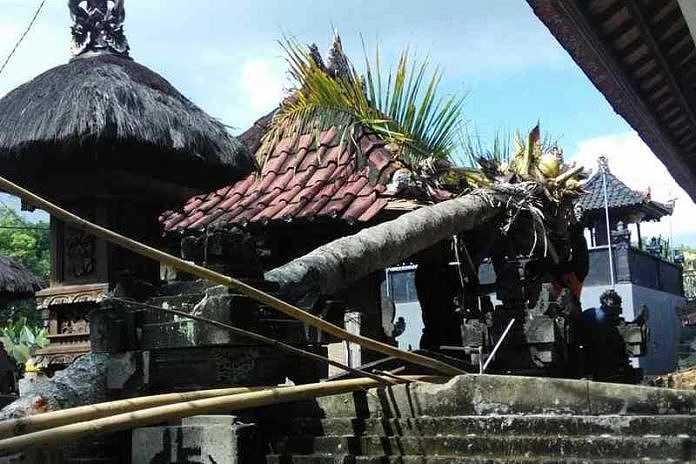 Pohon Tumbang