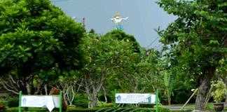 taman