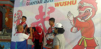 Wushu