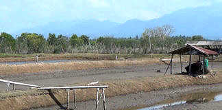 sungai