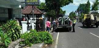 pohon