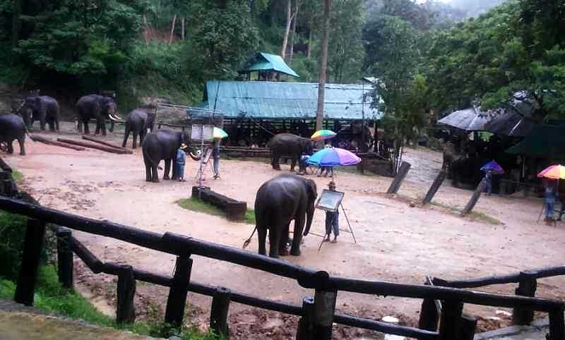 Gajah memperlihatkan keahlian melukisnya di hadapan penonton. (BP/iah)