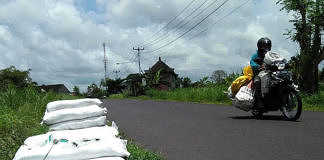 pupuk