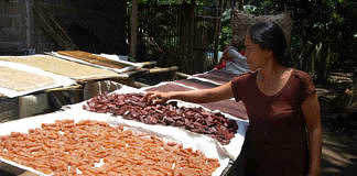 dodol