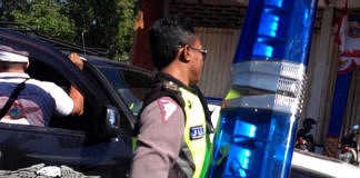 Disbud