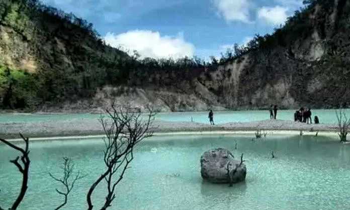 Dukung Program Wisata, Perhutani Branding Ecotourism dengan Canopy 1