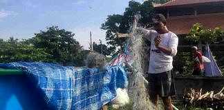 jaring