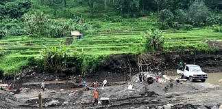 Petani