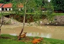 banjir