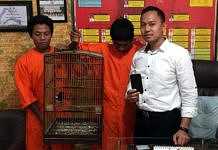 Alasan Gaji Tak Cukup Biayai Hidup, Kakak-adik Ini Jadi Pencuri