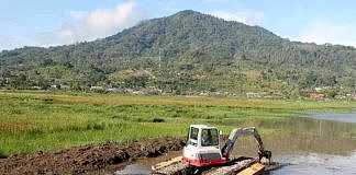 Danau
