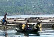 Danau batur