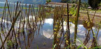 air danau