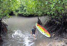 Diajukan, Perpanjangan Ijin Pengelolaan Tahura Ngurah Rai
