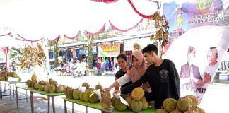 Pedagang