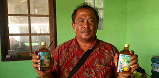 kelor