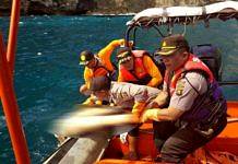 Wisatawan Tewas Terperosok ke Jurang jurang