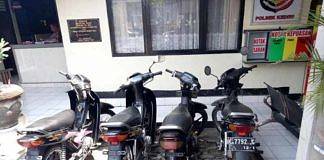 Spesialis